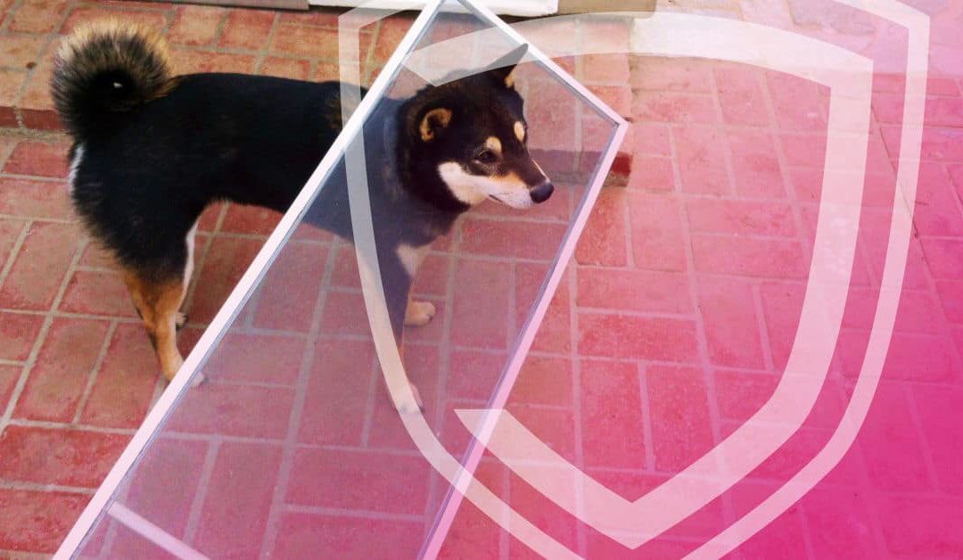 Állatbarát megoldás a JOLÁ-tól – a „kutyabiztos” rovarhálók