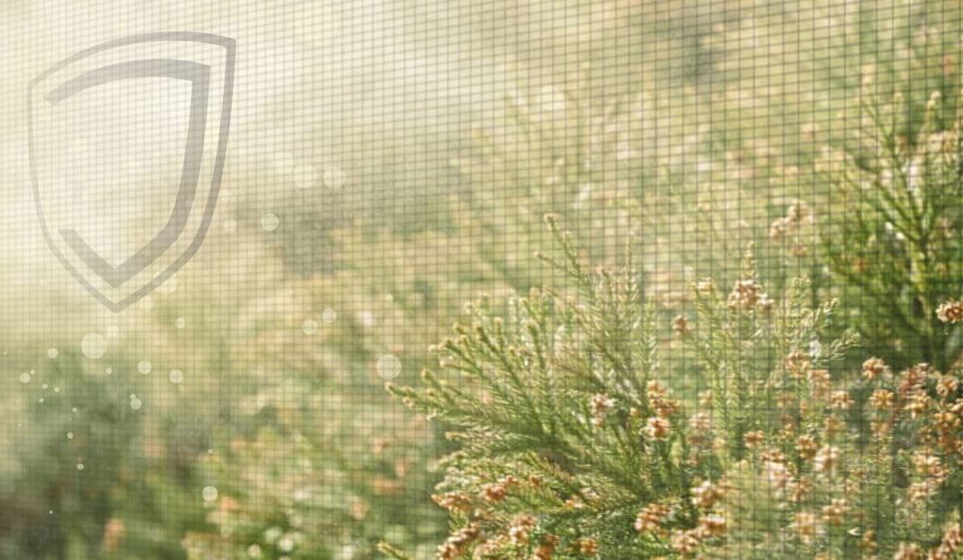 Pollenszűrés szúnyoghálóval?