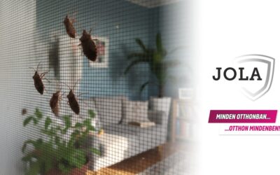 Szúnyogháló – a Poloska invázió kizárásának lehetőségei